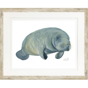 KS- MANATEE 1